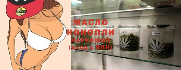 амф Вяземский