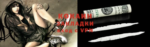 амф Вяземский