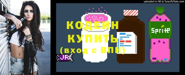амф Вяземский