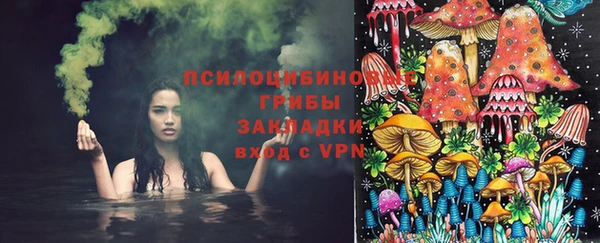 амф Вяземский