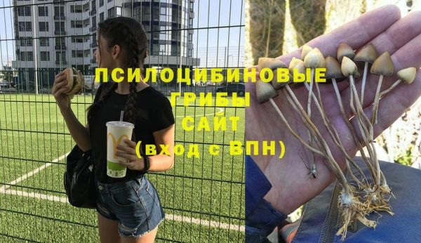 амф Вяземский