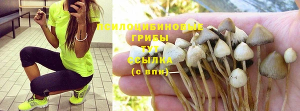 амф Вяземский