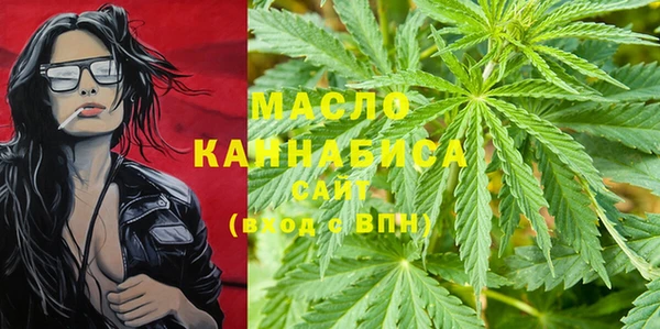 амф Вяземский