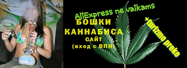 амф Вяземский
