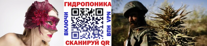 Каннабис гибрид  Купить где  Кондопога 